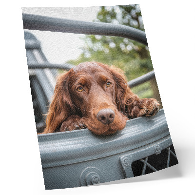 Hållbar väggposter Brun hund vid fordonet gröna träd