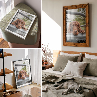 Hållbar väggposter Brun hund vid fordonet gröna träd