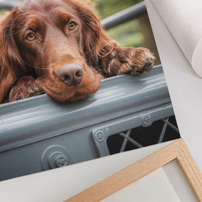 Hållbar väggposter Brun hund vid fordonet gröna träd