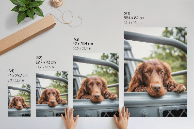 Hållbar väggposter Brun hund vid fordonet gröna träd