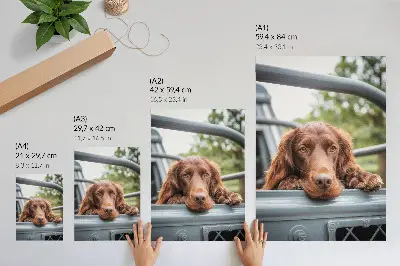 Väggposter brun hund vid fordonet med gröna träd