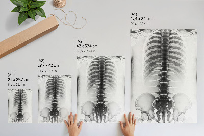 Hållbar väggposter Skelett i svart och vitt
