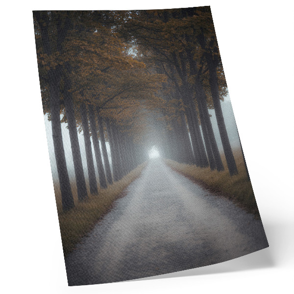 Poster Höstgränddimma symmetrisk harmonisk komposition