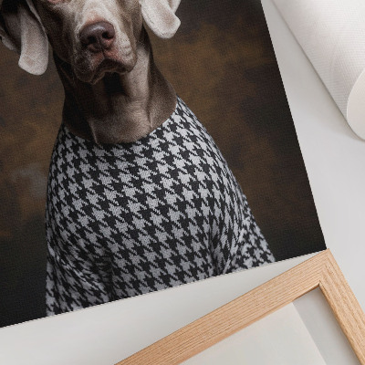 Dekorativ väggaffisch Hund i en baskermönstrad väst elegans