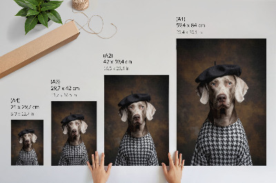 Dekorativ väggaffisch Hund i en baskermönstrad väst elegans