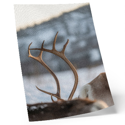 Poster Renar med horn vinterlandskap harmoni