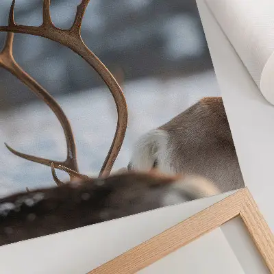 Poster med motiv av renar i ett harmoniskt vinterlandskap