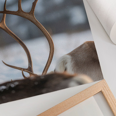 Poster Renar med horn vinterlandskap harmoni