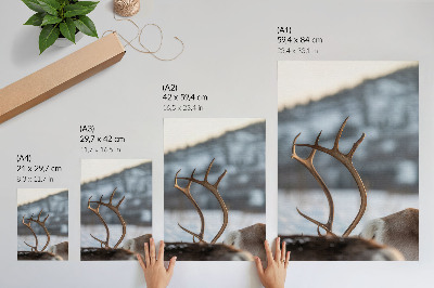 Poster Renar med horn vinterlandskap harmoni