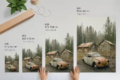 Hållbar väggposter rostig bil vid ett träskjul i grön skog