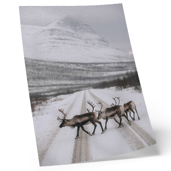 Affisch Renar på en snöig väg bland bergen, vinterbakgrund