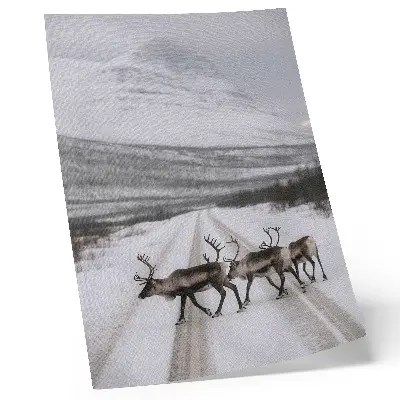 Affisch renar på en snöig väg bland bergen med vinterbakgrund