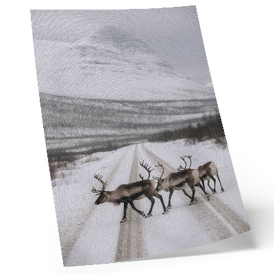 Affisch Renar på en snöig väg bland bergen, vinterbakgrund