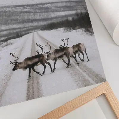 Affisch renar på en snöig väg bland bergen med vinterbakgrund