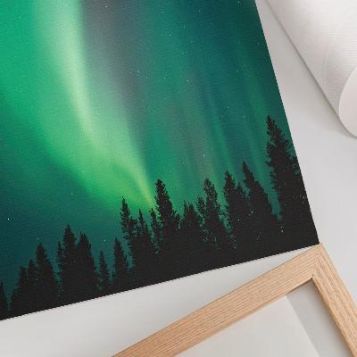 Dekorativ väggaffisch Aurora gröna träd natt magisk natur