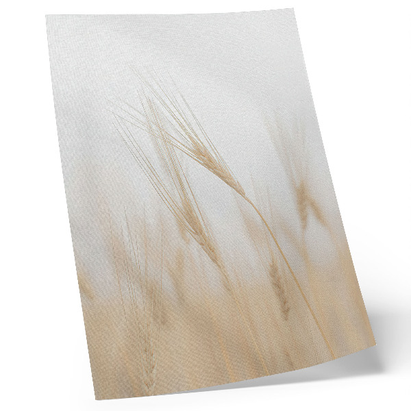 Poster Minimalistisk elegans hos kornax