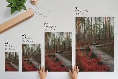 Hållbar väggposter trästig i en skog med höstfärger