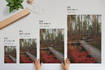 Hållbar väggposter Trästig skogsträd höstfärger