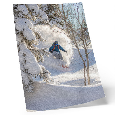Affisch Skidåkare i vinterskogens dynamik snö