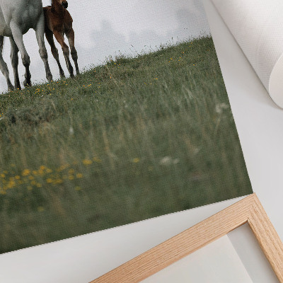Hållbar väggposter Naturens skönhet med den rogivande synen av hästar