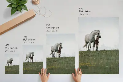 Hållbar väggposter med motiv av hästar i naturen