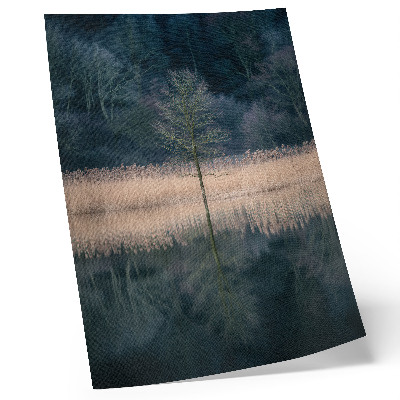 Affisch enda träd reflektion sjö dimma