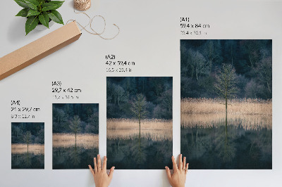 Affisch enda träd reflektion sjö dimma