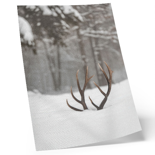Hållbar väggposter Vinterlandskap med horn i snön