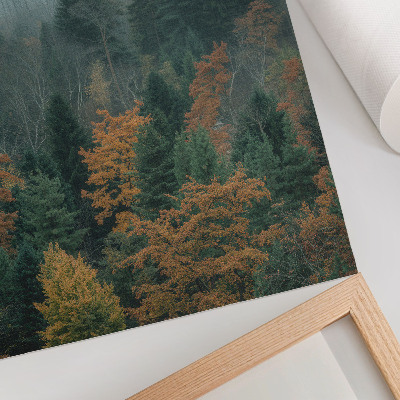 Poster Gröna träd dimma orange löv fred