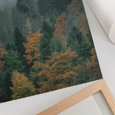 Poster gröna träd i dimma med orangea löv i fredligt landskap