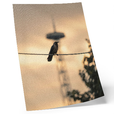 Hållbar väggposter Fågel på en tråd, kvällshimmel, delikat bakgrund
