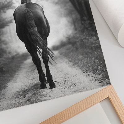 Dekorativ väggaffisch Svartvit häst i skogsfotografering