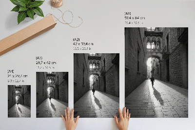 Dekorativ väggaffisch Svartvitt fotografi av en gata med arkitektur