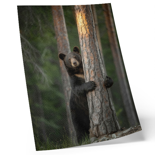 Hållbar väggposter Björn i skogen realistisk komposition