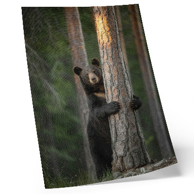 Hållbar väggposter Björn i skogen realistisk komposition