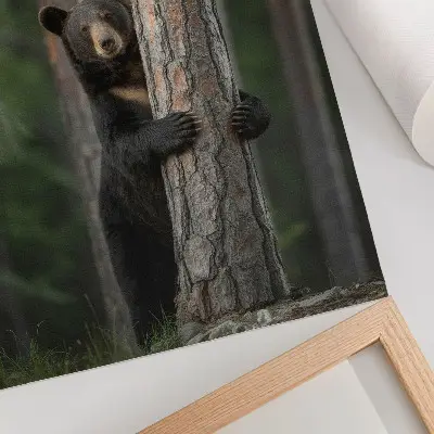 Hållbar väggposter med realistiskt motiv av en björn i skogen