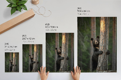 Hållbar väggposter Björn i skogen realistisk komposition