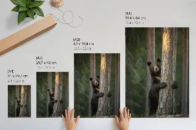 Hållbar väggposter med realistiskt motiv av en björn i skogen