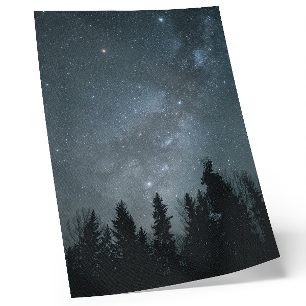 Poster En natthimmel full av stjärnor och silhuetter av träd
