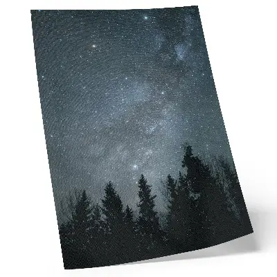 Poster med motiv av en natthimmel full av stjärnor och silhuetter av träd