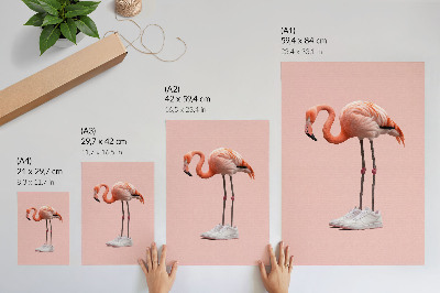 Poster Flamingo rosa sportskor rosa bakgrund
