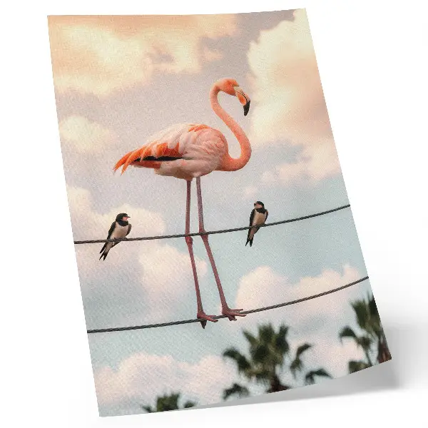Väggaffisch med motiv av flamingo himmel med moln och svalor