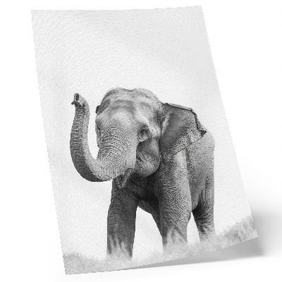 Affisch Monokrom elefant med upphöjd snabel