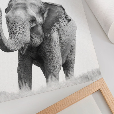 Affisch Monokrom elefant med upphöjd snabel