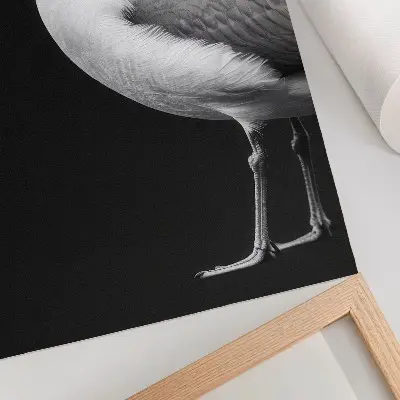 Väggaffisch minimalistisk svartvit fågel med kontrast