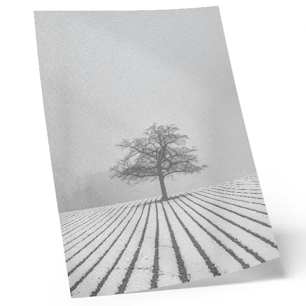 Poster träd i snön med minimalistiskt vinterlandskap