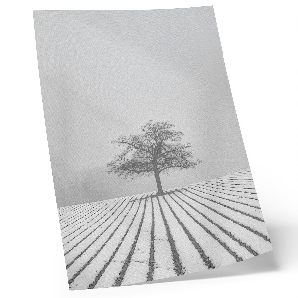 Poster Träd i snön vinterlandskap minimalism