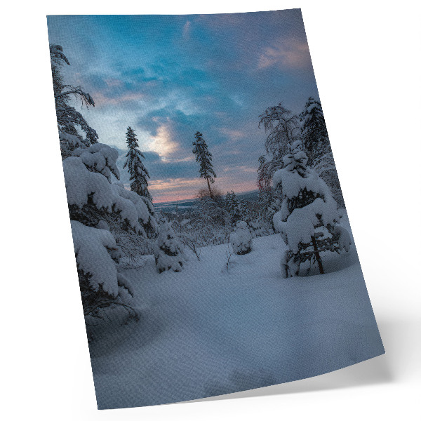 Affisch Snötäckta träd, pittoreskt landskap, himmel