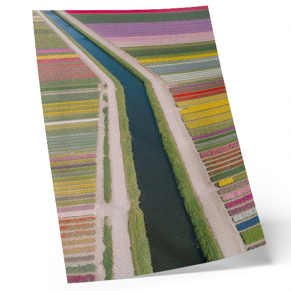 Affisch Färgglada blomsterränder längs kanalen