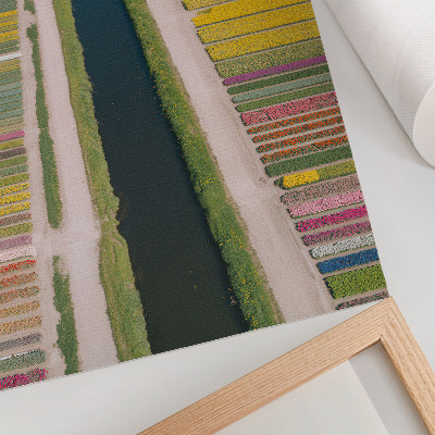 Affisch Färgglada blomsterränder längs kanalen